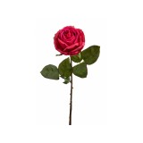 7-284RO RED